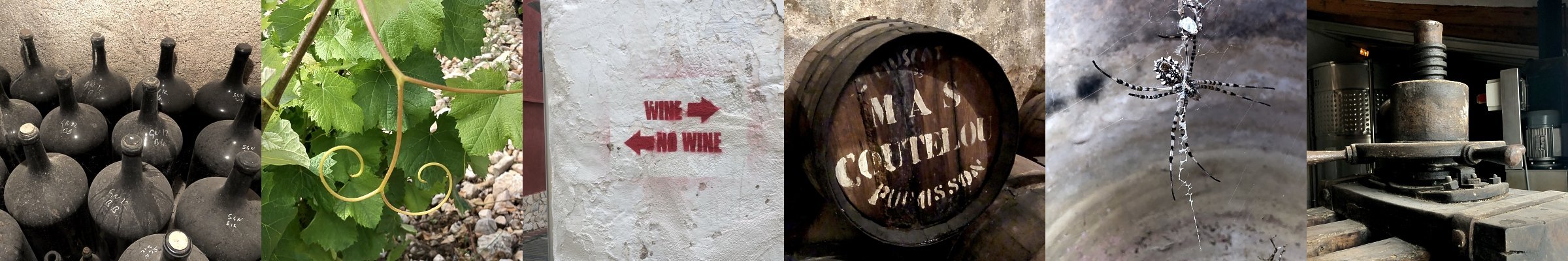 Històries de vins naturals