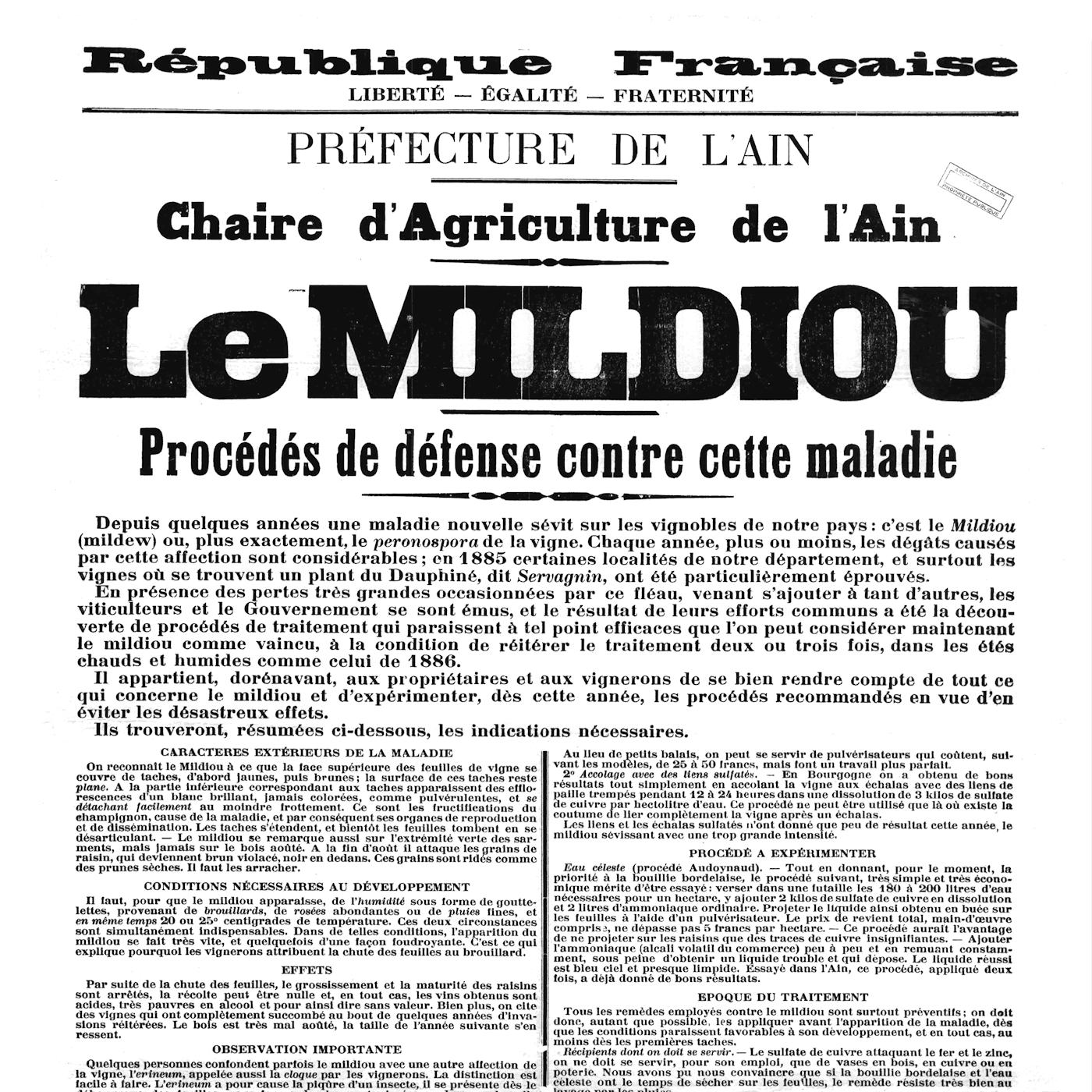 Va de vi – Les microalgues contra el míldiu – S03E10