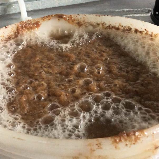 Va de vi – Llevadures, domesticació i fermentació espontània – S03E18 Va de vi – Llevadures, domesticació i fermentació espontània – S03E18